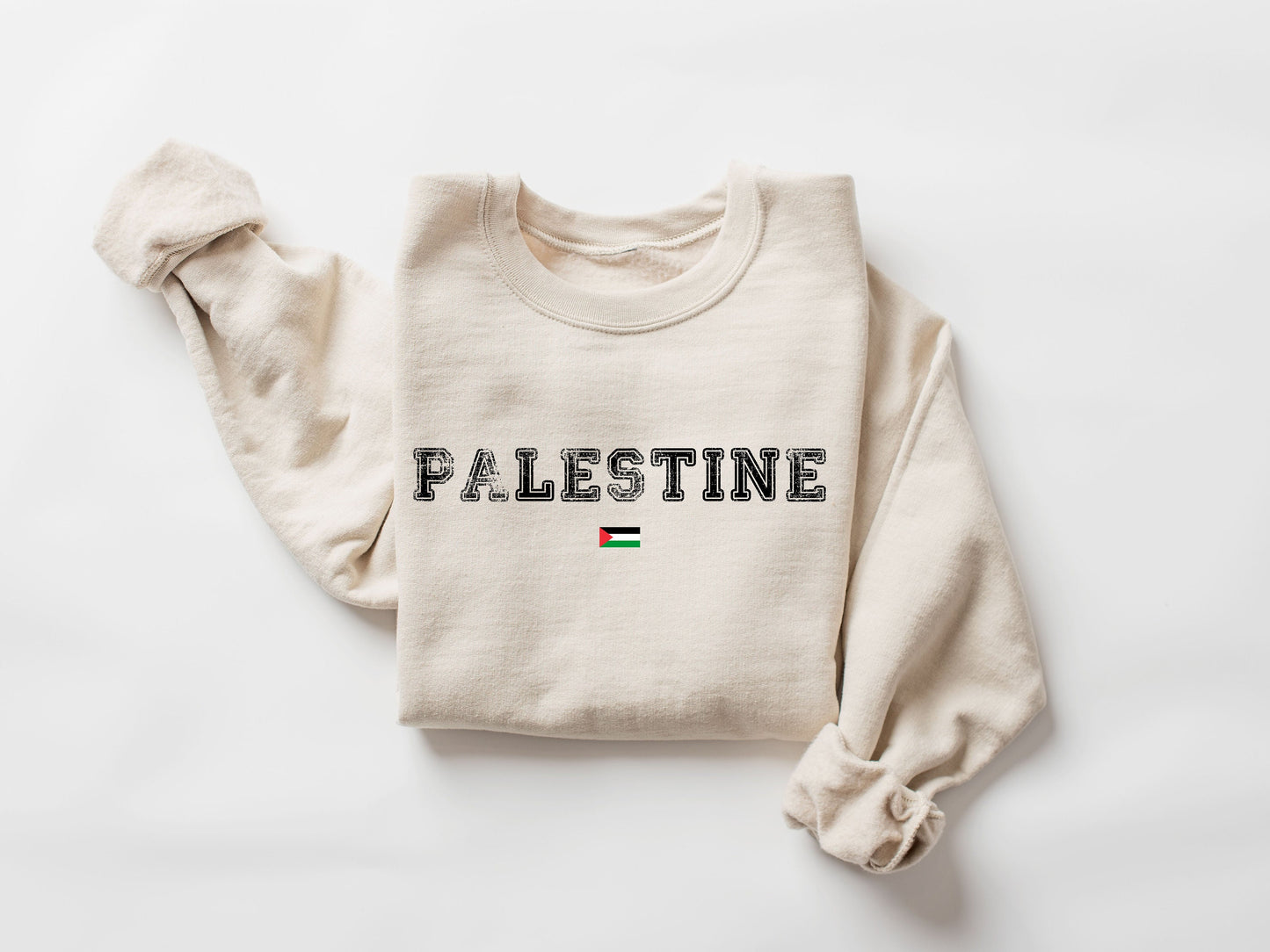 Palestine Sweatshirt, Palestine Flag Sweatshirt, Activist Sweater, Equality Hoodie, Human Rights Sweater, Protest Sweatshirt, Save Palestine