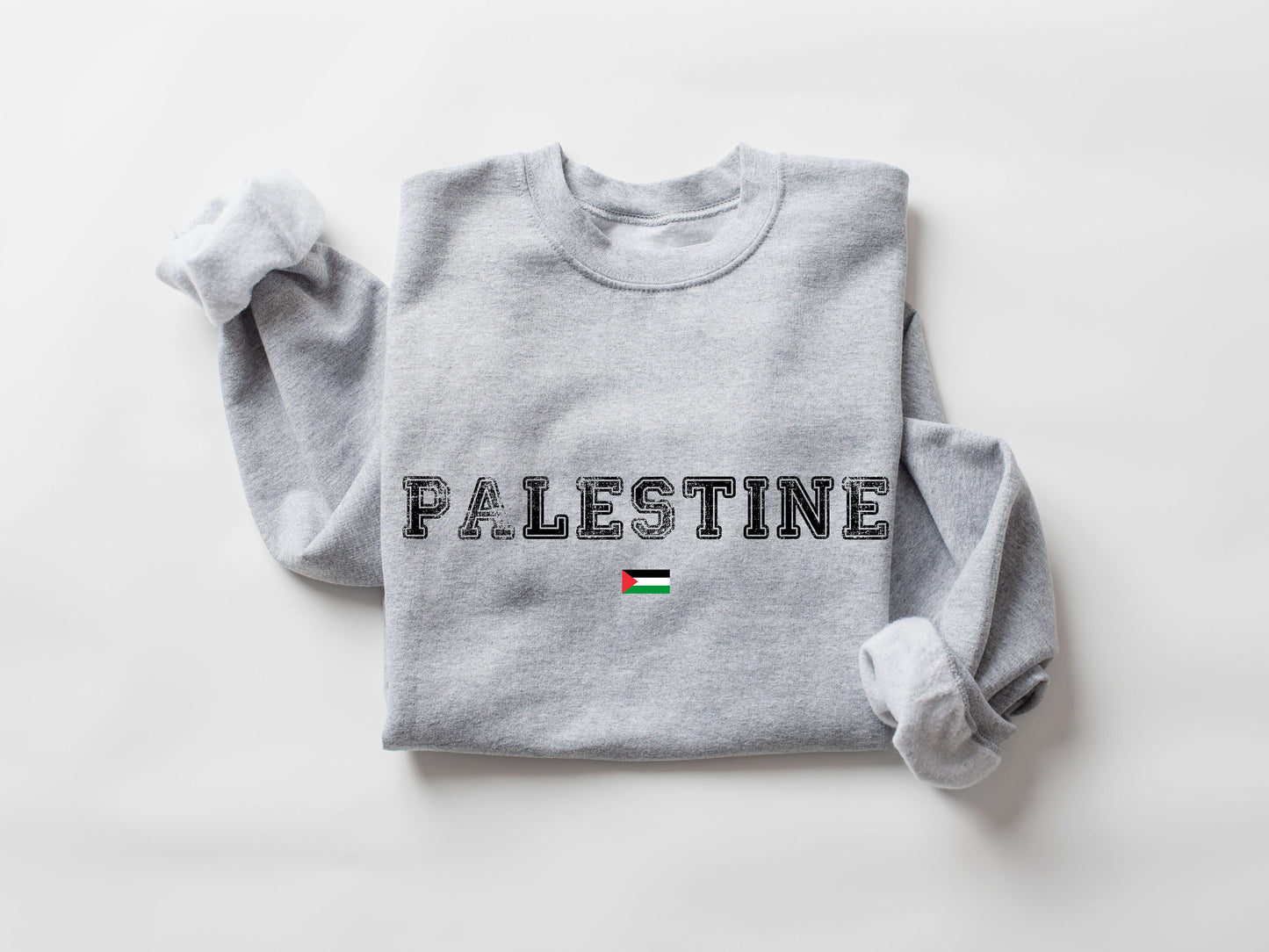 Palestine Sweatshirt, Palestine Flag Sweatshirt, Activist Sweater, Equality Hoodie, Human Rights Sweater, Protest Sweatshirt, Save Palestine