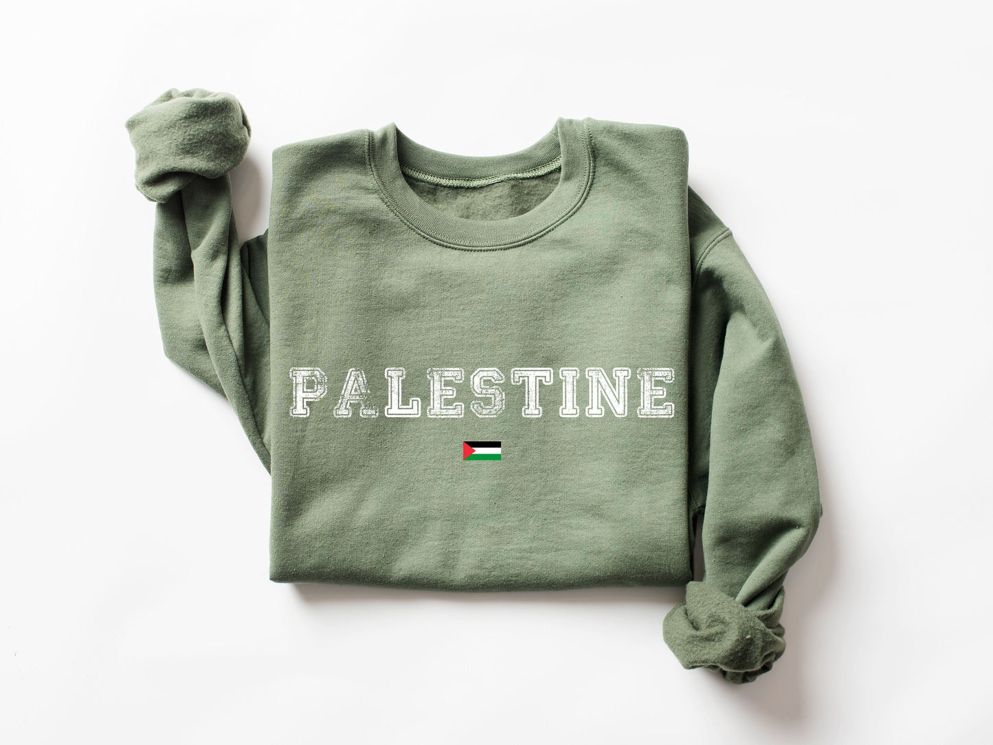 Palestine Sweatshirt, Palestine Flag Sweatshirt, Activist Sweater, Equality Hoodie, Human Rights Sweater, Protest Sweatshirt, Save Palestine